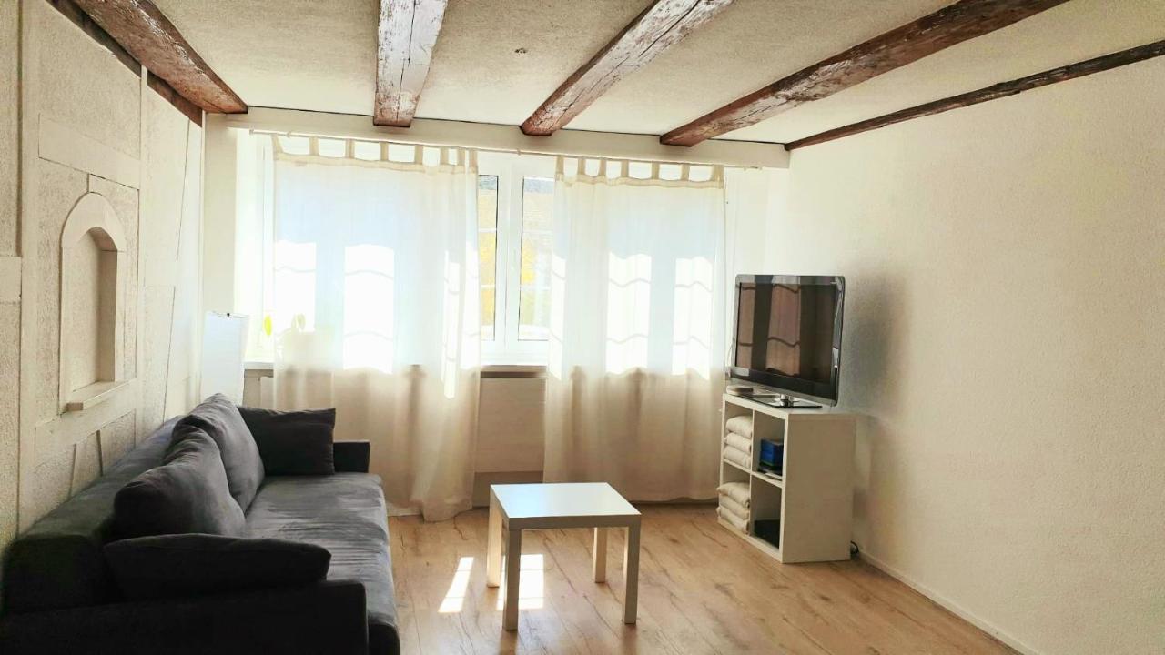 Cozy Apartment Close To Zurich Airport And City Oberglatt المظهر الخارجي الصورة