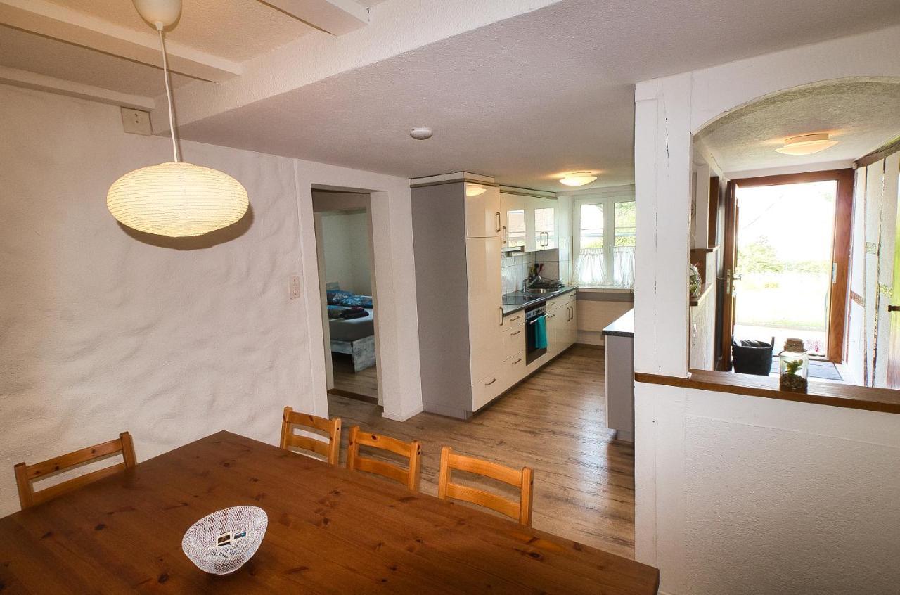 Cozy Apartment Close To Zurich Airport And City Oberglatt المظهر الخارجي الصورة