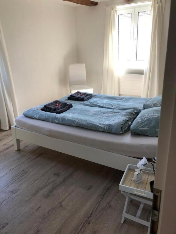 Cozy Apartment Close To Zurich Airport And City Oberglatt المظهر الخارجي الصورة