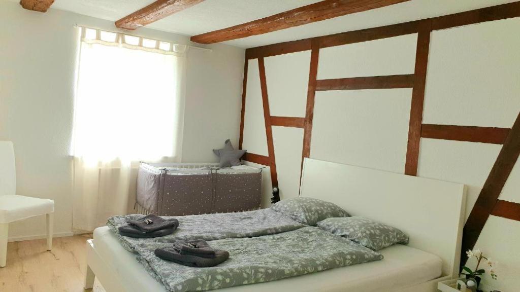 Cozy Apartment Close To Zurich Airport And City Oberglatt المظهر الخارجي الصورة