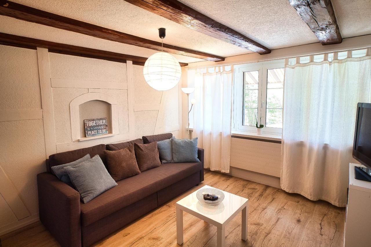 Cozy Apartment Close To Zurich Airport And City Oberglatt المظهر الخارجي الصورة
