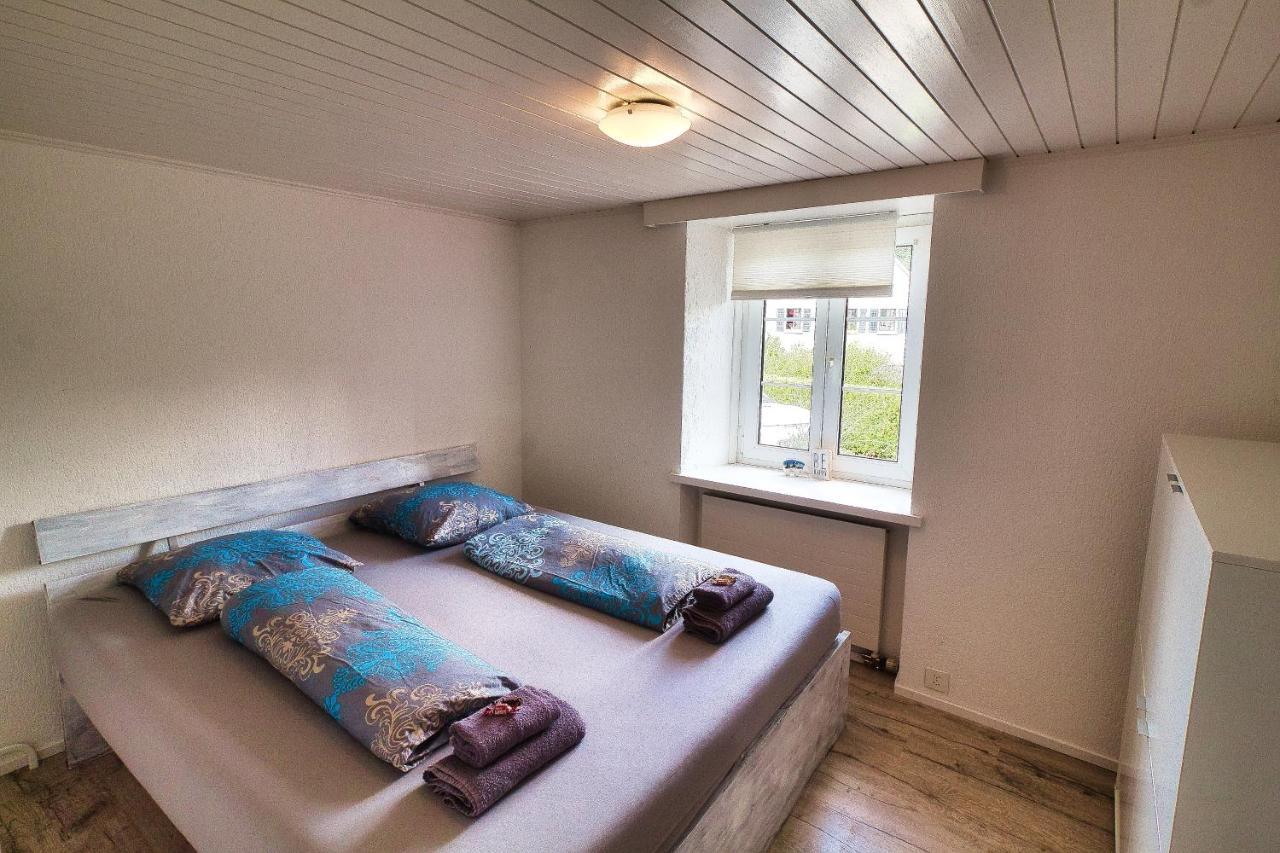 Cozy Apartment Close To Zurich Airport And City Oberglatt المظهر الخارجي الصورة