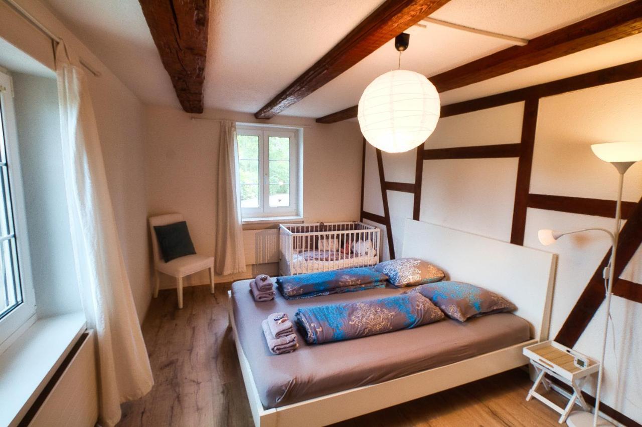 Cozy Apartment Close To Zurich Airport And City Oberglatt المظهر الخارجي الصورة