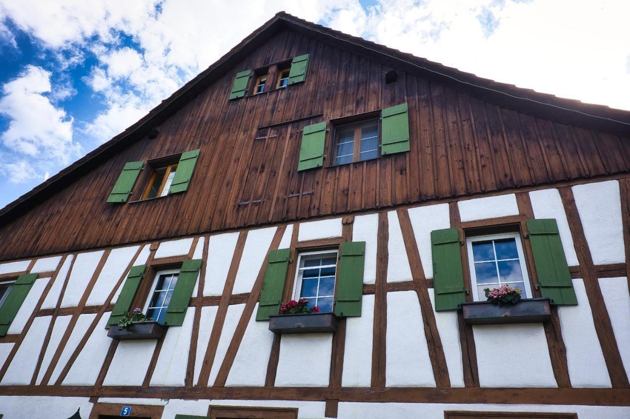 Cozy Apartment Close To Zurich Airport And City Oberglatt المظهر الخارجي الصورة