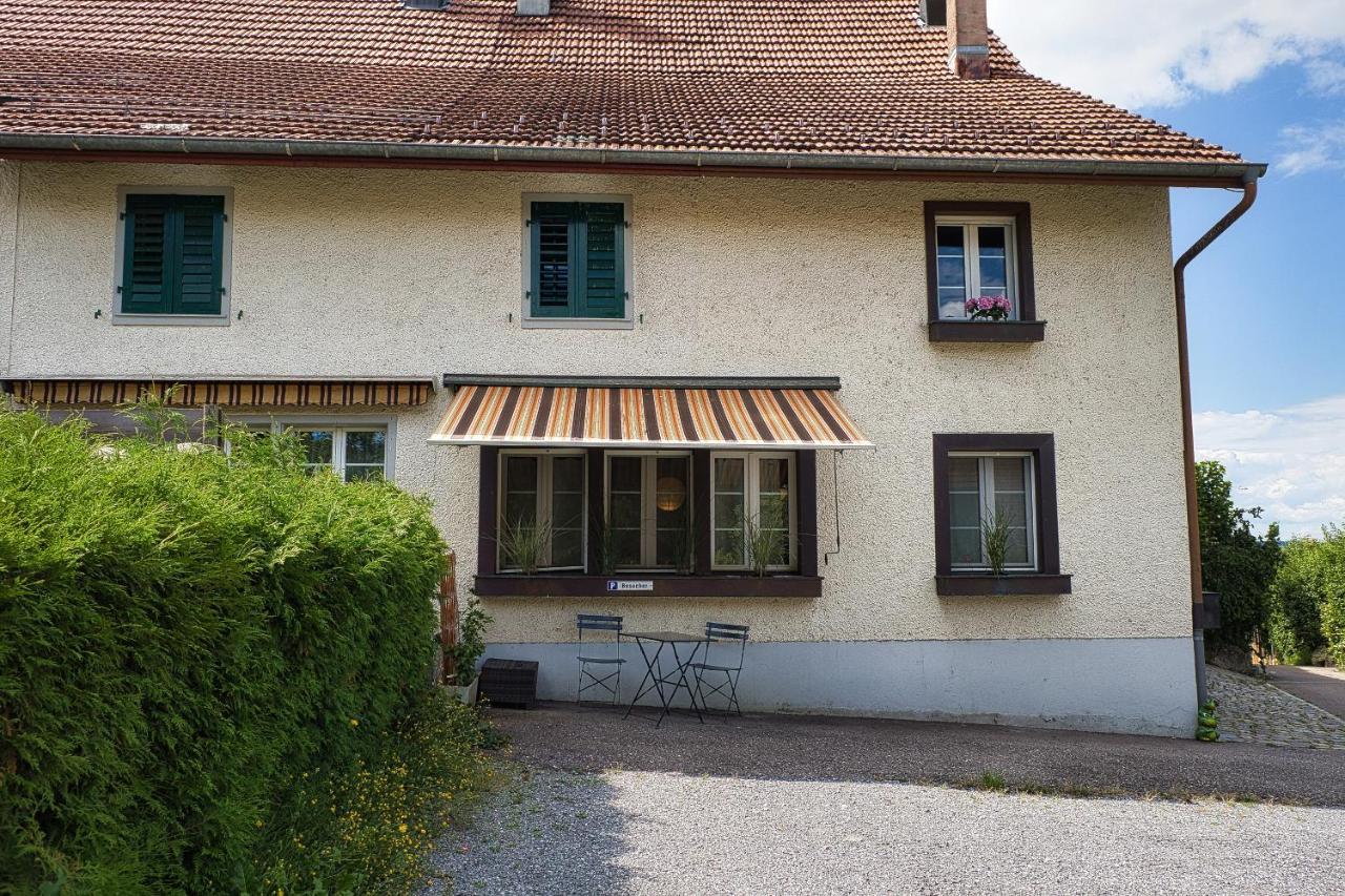 Cozy Apartment Close To Zurich Airport And City Oberglatt المظهر الخارجي الصورة