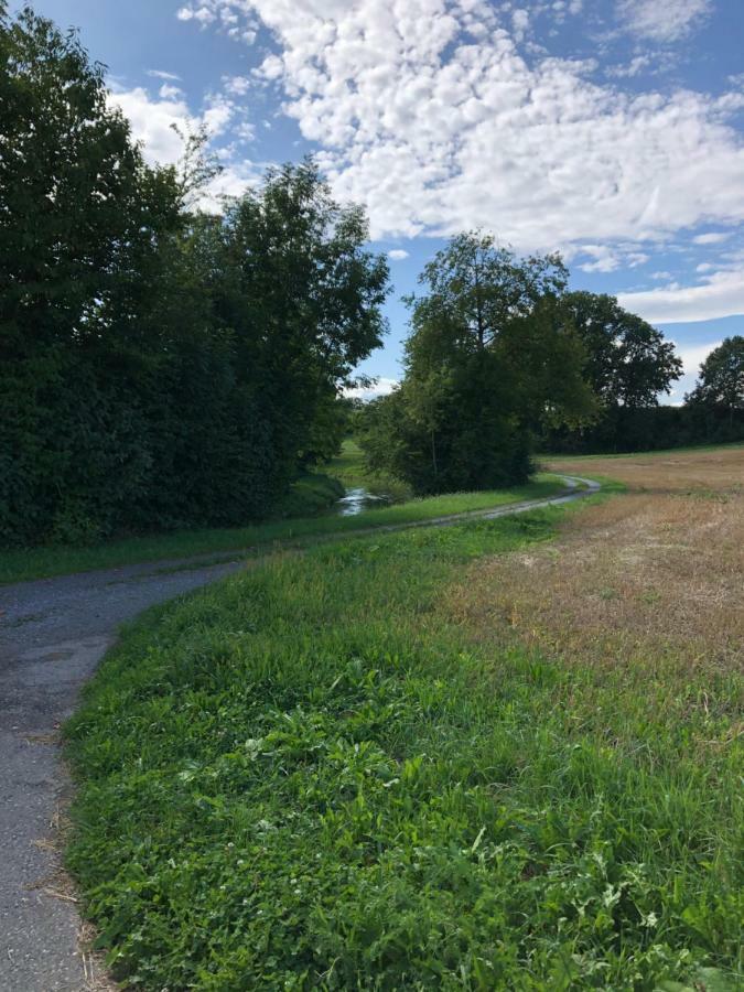 Cozy Apartment Close To Zurich Airport And City Oberglatt المظهر الخارجي الصورة